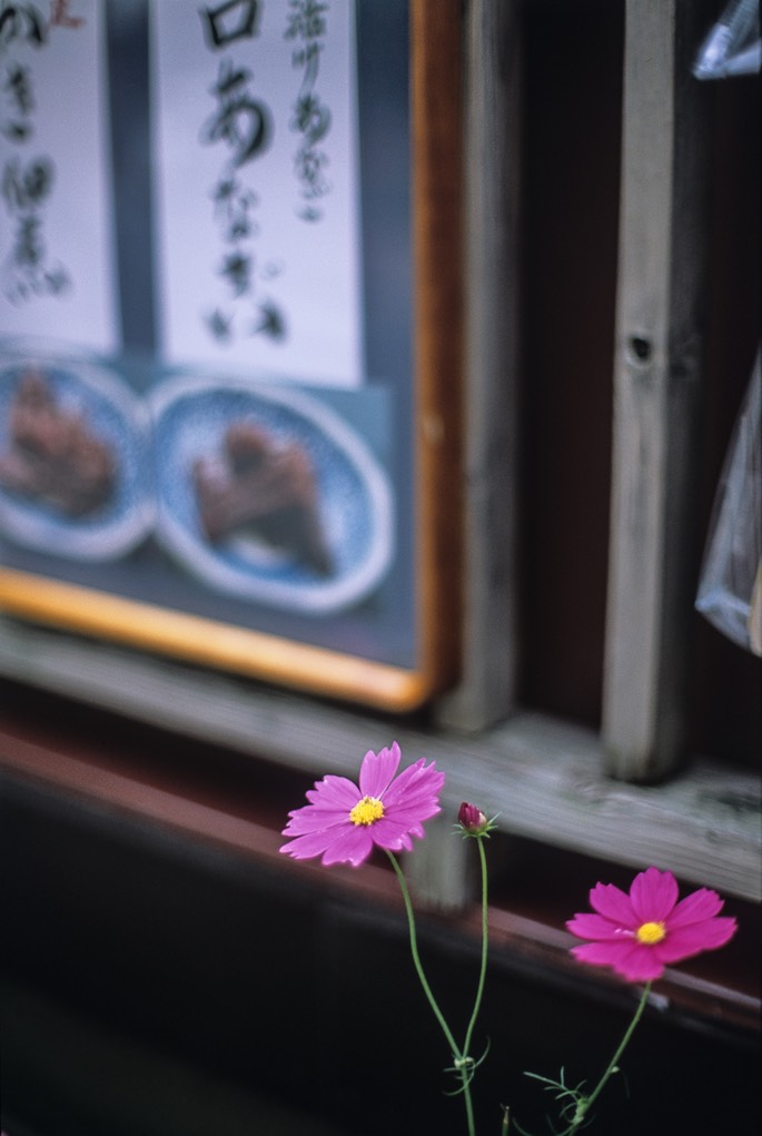 F3 Provia400X015.jpg