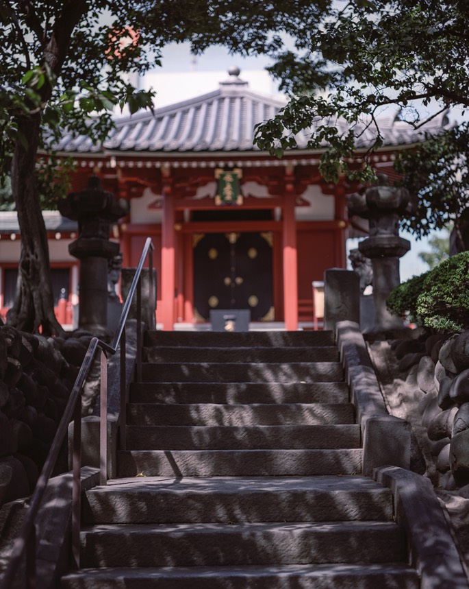 Pentax67 Portra160VC 006.jpg