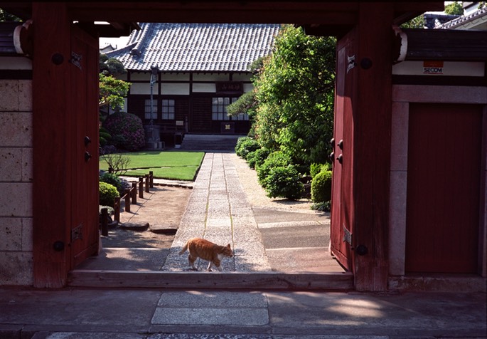 R3A Ektar 032.jpg