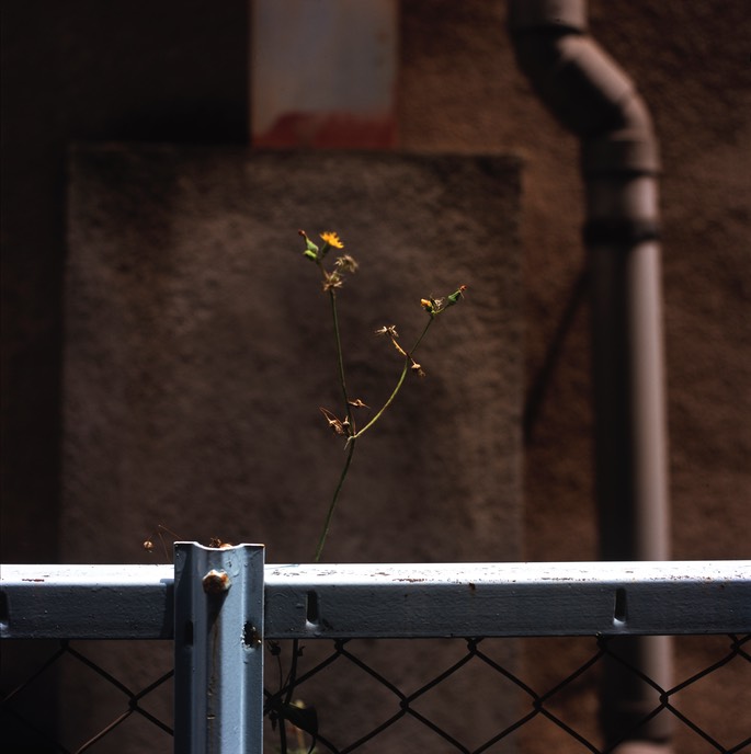 Vuescan V500CM Velvia 004.jpg